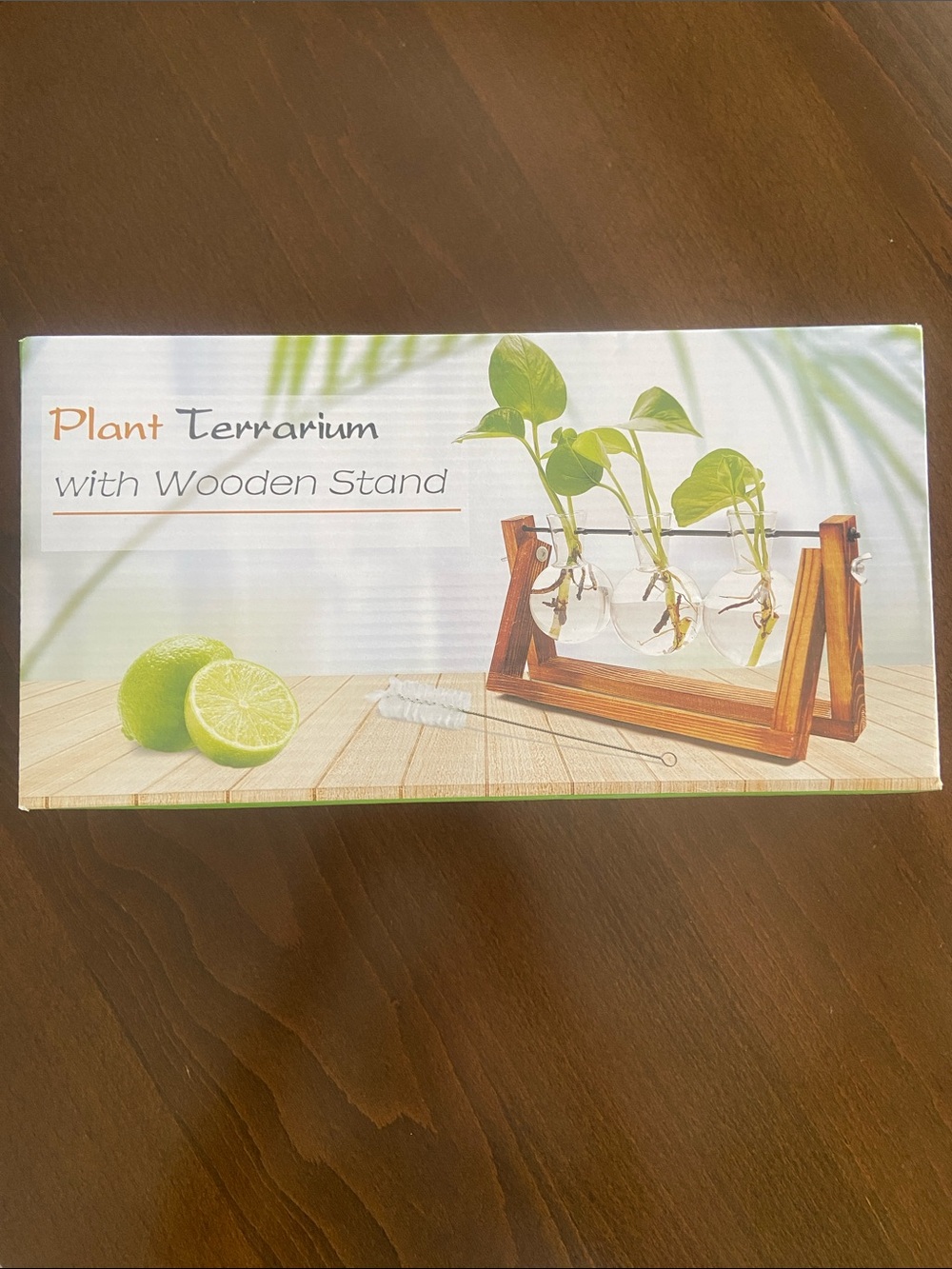 Plant Terrarium Bulb Vases (3) with Wooden Stand - Clear Glass & Natural Wood